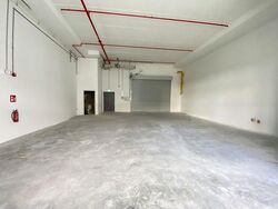 Ct Foodnex (D25), Factory #488220561